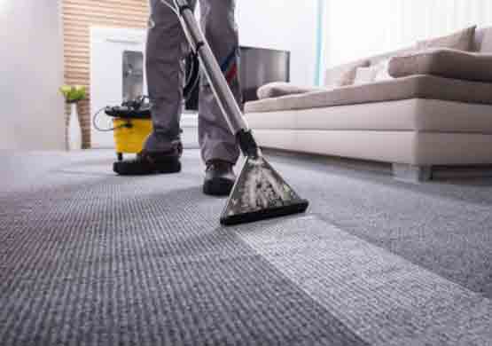 Professional Carpet Cleaning Walkerville